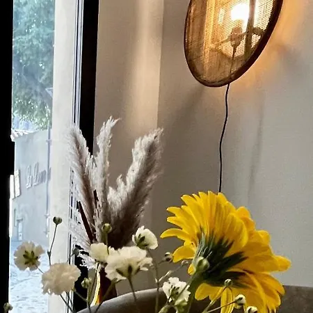 Le Donjon De Lily - Coeur De La Cite Medievale דירה *